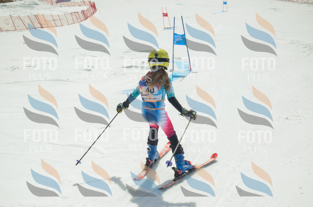 _ELE5028 | holidayphoto