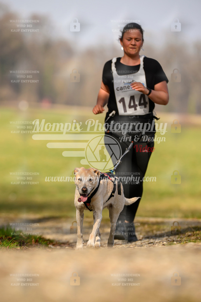 MompixPhotography_6ReiatRennen2026_SA_HappyDog-36 | PayLife