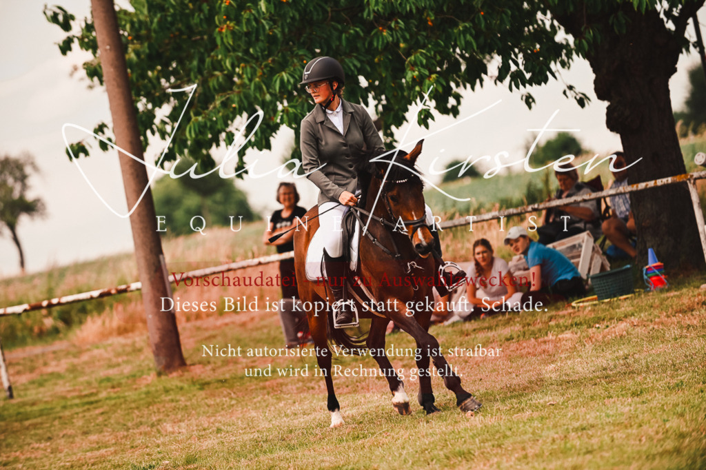 DSC_6897 | Pferde- und Turnierfotografie in Westsachsen. Pferdeportraits, Auftragszeichnungen und intuitive Kunst.