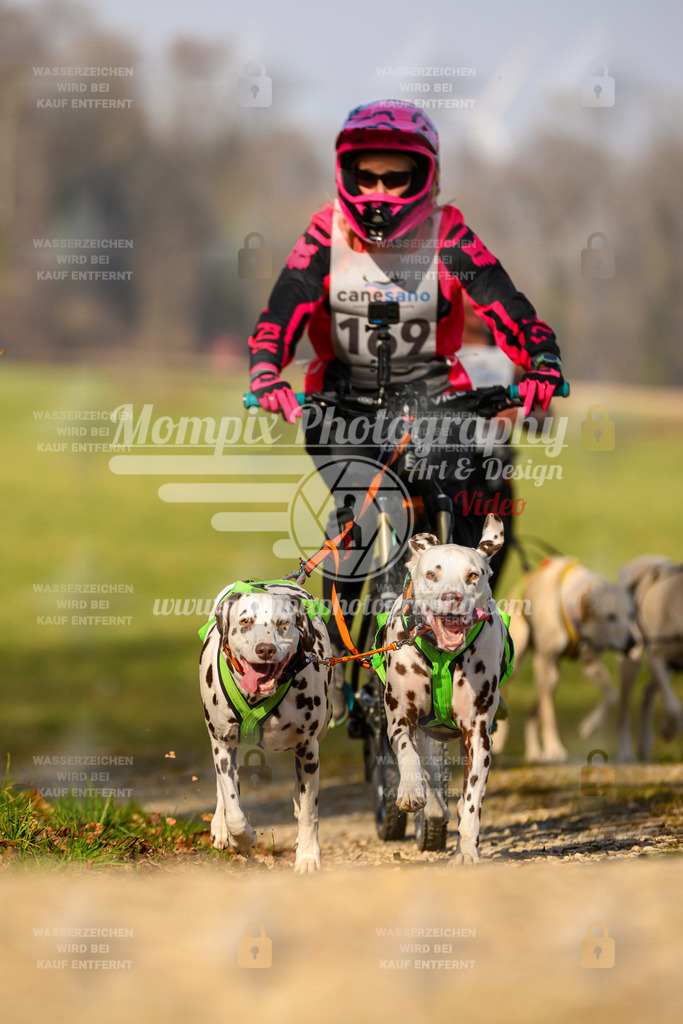 MompixPhotography_6ReiatRennen2026_SA_HappyDog-101 | PayLife
