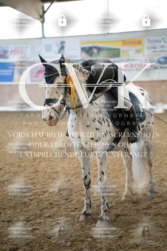 CK703048 | Turnierfotografie Pferdefotografie Trier Rheinland-Pfalz Pferdesport Reitsport Tierfotografie Sportfotografie Pferdevideo Pferdevideografie Equestrianvideography equestrianphotography  - Realized with Pictrs.com