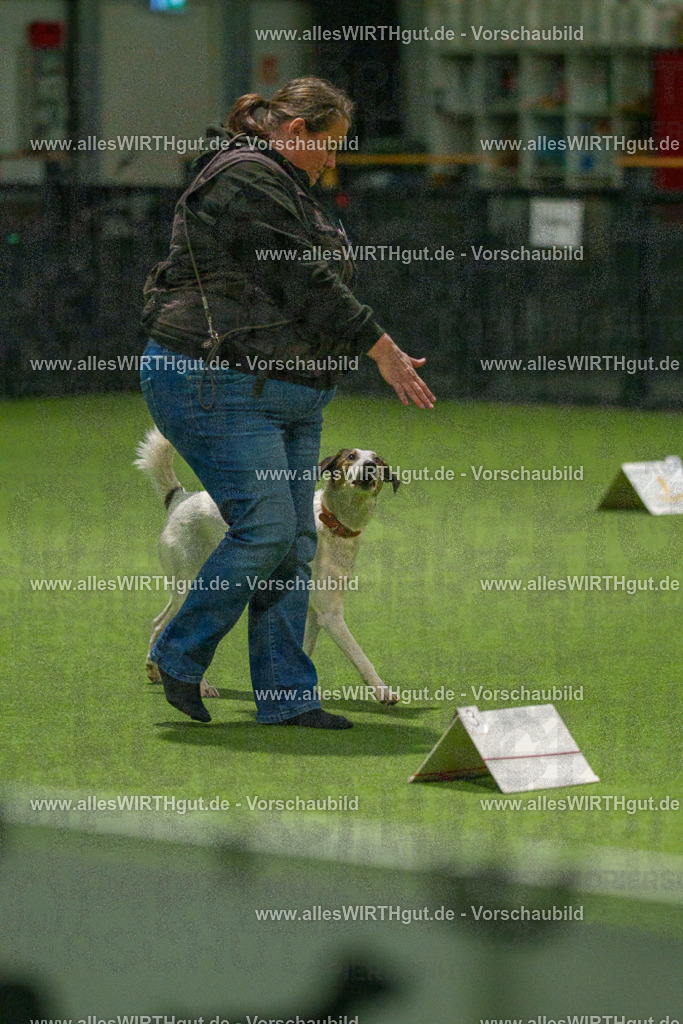 7R508610 | Professionelle Tierfotografie in Mönchengladbach von Daniel Wirth (allesWIRTHgut). Liebevolle & natürliche Bilder von Hunden & Katzen für unvergessliche Erinnerungen.