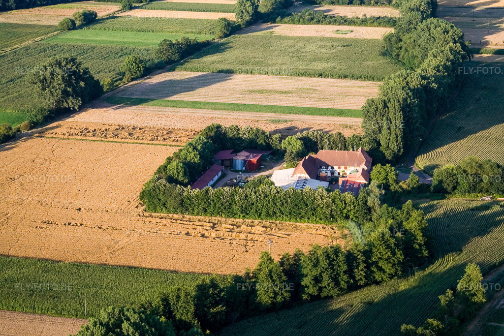 Luftbild: am Erlenbach, Leistenmühle in Kandel im Bundesland Rheinland-Pfalz in Deutschland. Foto: IMG_11751.jpg vom 25.07.2008 durch Werner Riehm/FLY-FOTO.de