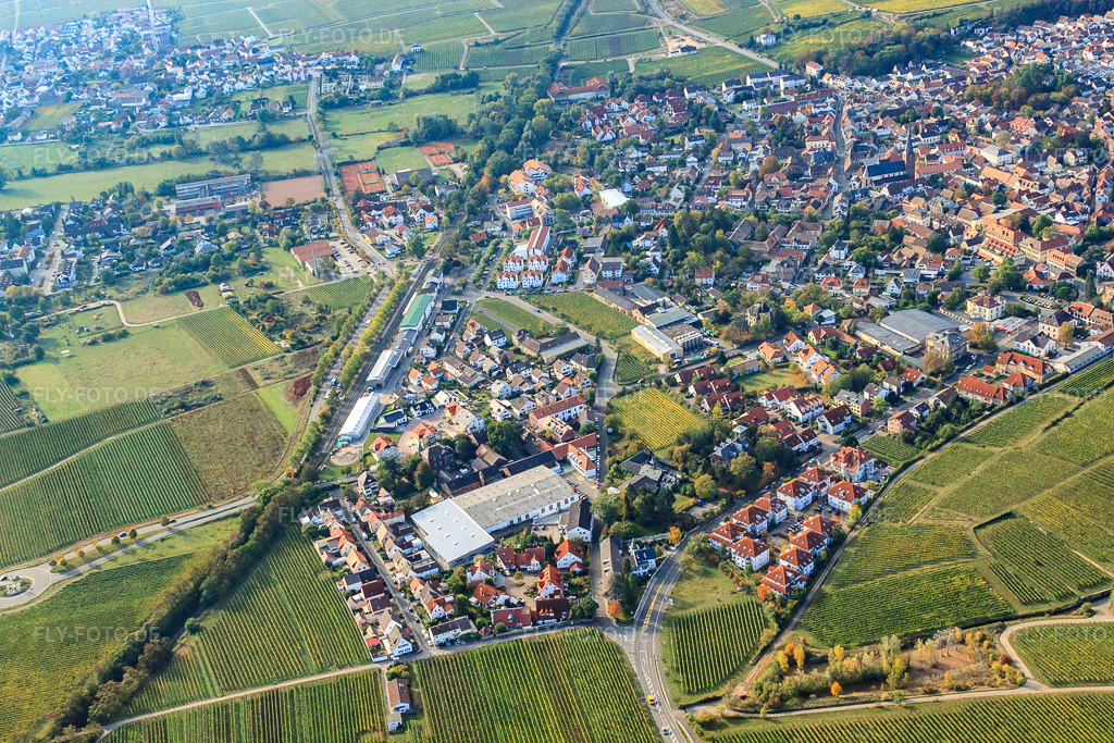 Luftbild: Weinstraße in Deidesheim im Bundesland Rheinland-Pfalz in Deutschland. Foto: IMG_21989.jpg vom 15.10.2009 durch Werner Riehm/FLY-FOTO.de