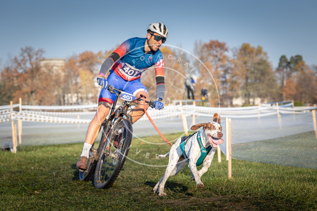 CaniXpix_0L8A3965 | Hundefotografie, Tierfotograf, Pfotenfotografie, Fotoshooting Hund, Hunde Portrait, Hundesport, Hundeportraits, Heideshooting, Hunde, Sportfotograf, Hundefotograf, Turnierhundsport, THS,  - Realisiert mit Pictrs.com