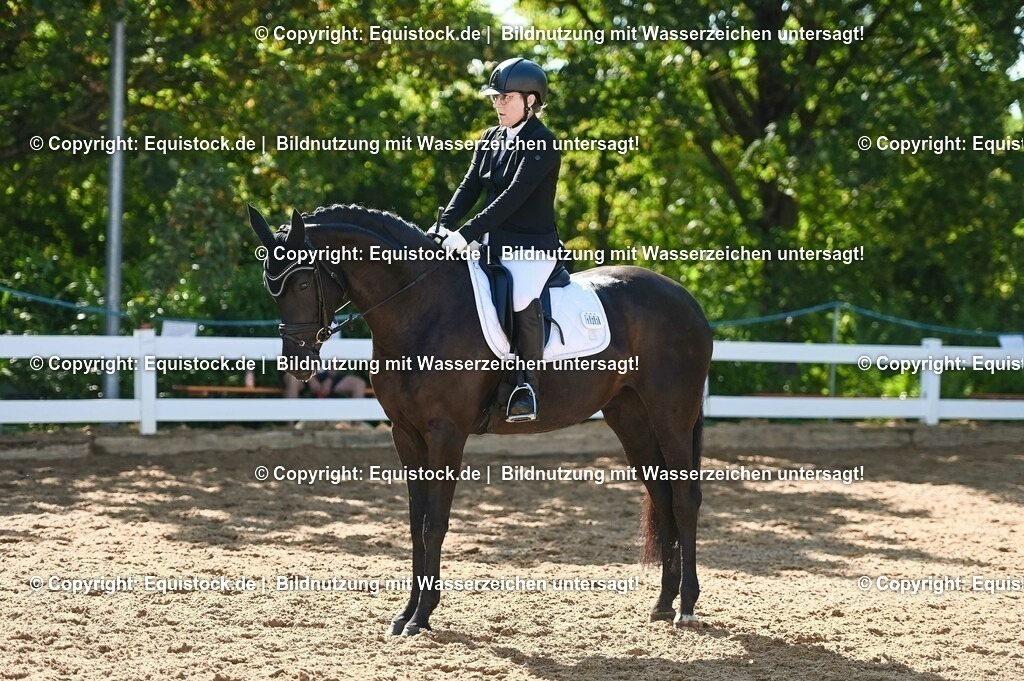 20230715_06_Dressurpferdeprfg. Kl.A_0329 | equistock