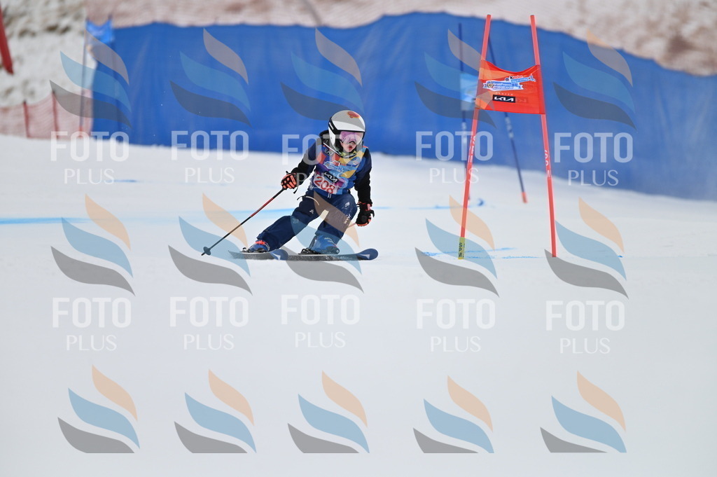 BGV_2258 | holidayphoto