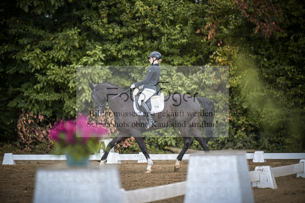 DOS_4706 | Entdecke hochwertige Reitturnierfotos von Foto Oger. Professionell, emotional und authentisch – jetzt Lieblingsmomente im Shop bestellen.Deutschlandweite Turnierfotografie. - Realisiert mit Pictrs.com