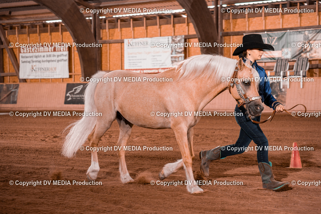 NE201523 | dv-media-shop - Realisiert mit Pictrs.com