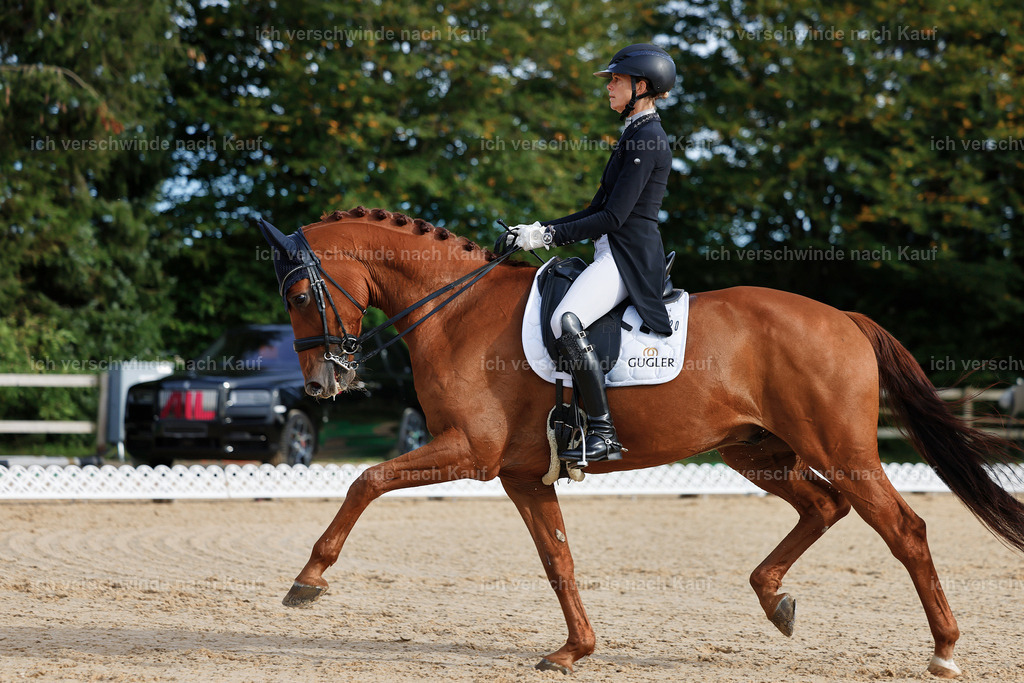 13-220-S___ -StoibPH-6958 | working equitationturnier fotograf videograf stoibphotography marixx film working equitation deutschland reitsport turnierfotografie eventfotografie equestrian events