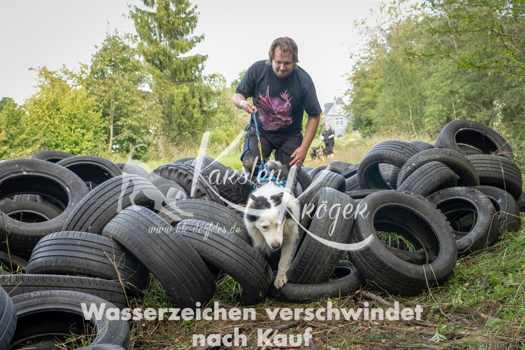 1502_ZZ90860-Bearbeitet | kk-dogfotos