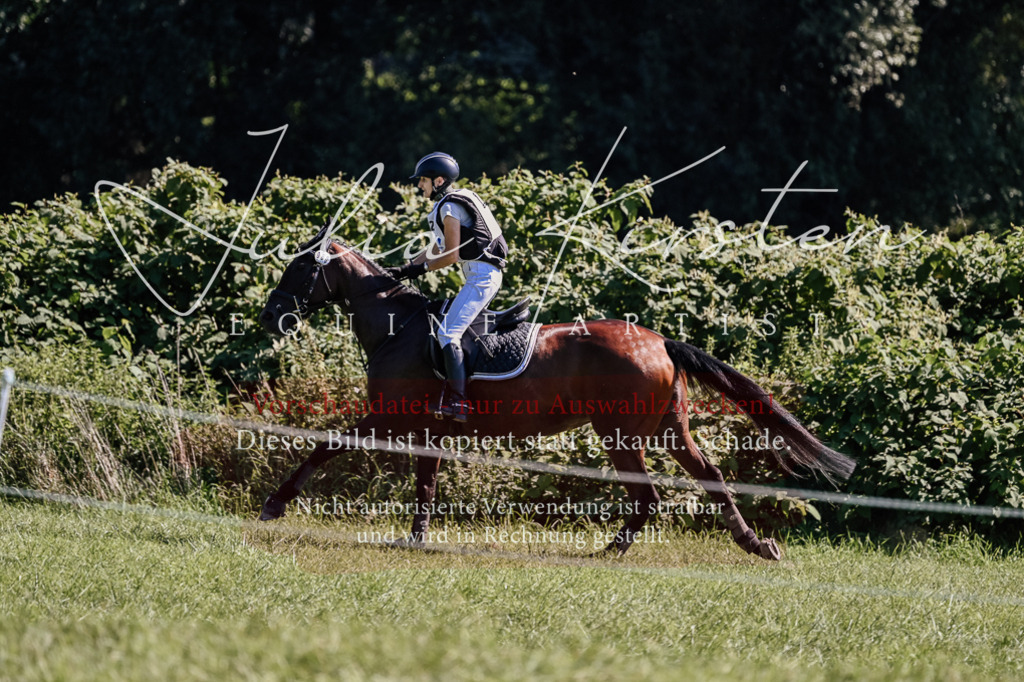 DSC_1727 | Pferde- und Turnierfotografie in Westsachsen. Pferdeportraits, Auftragszeichnungen und intuitive Kunst.