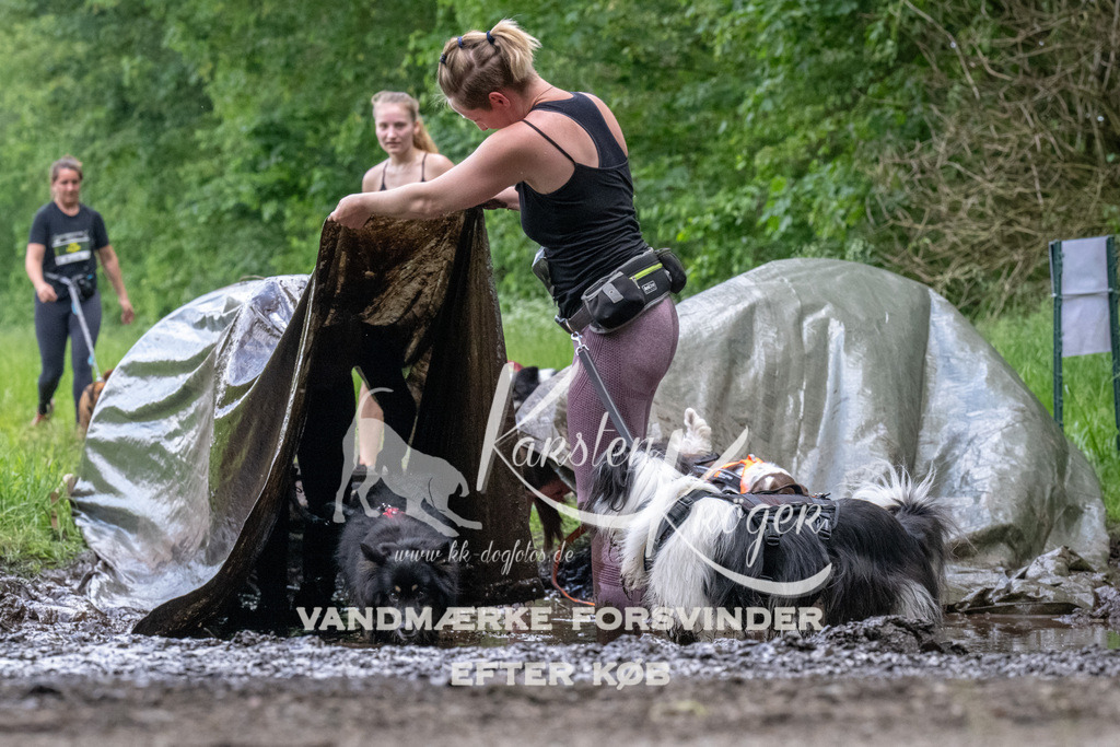 1257_ZZ94324 | kk-dogfotos