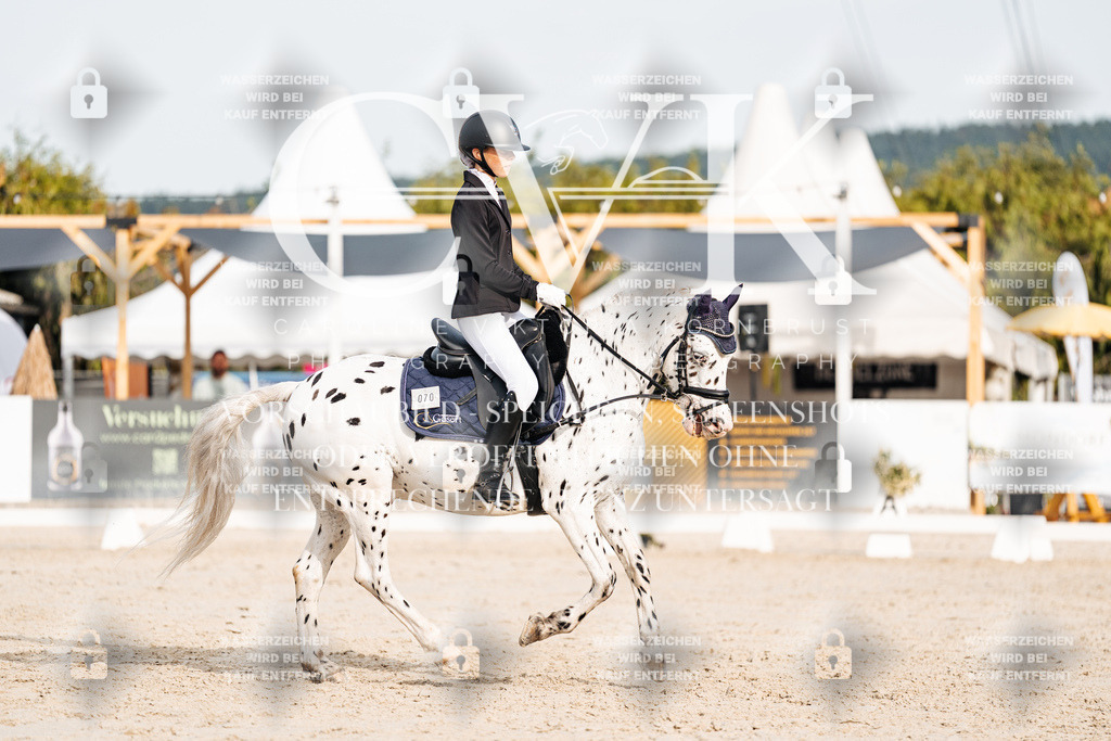CK904388 | Turnierfotografie Pferdefotografie Trier Rheinland-Pfalz Pferdesport Reitsport Tierfotografie Sportfotografie Pferdevideo Pferdevideografie Equestrianvideography equestrianphotography  - Realisiert mit Pictrs.com