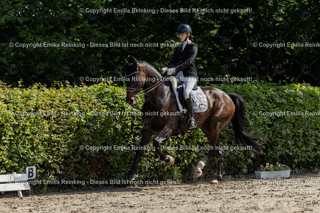 CL5A7302 | Emilia Reinking Fotografie - Realisiert mit Pictrs.com