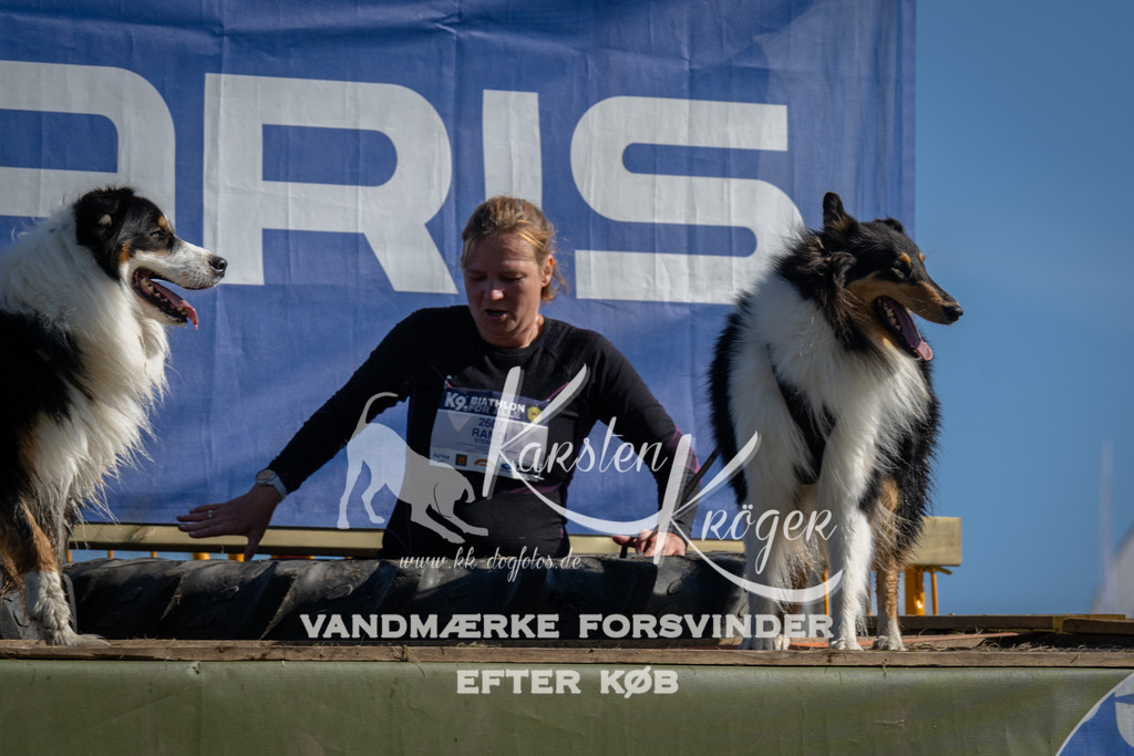 1006_ZZ97520 | kk-dogfotos