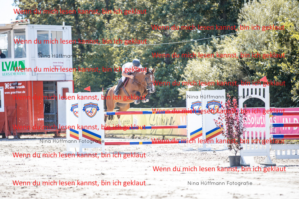 BK1A6363 | Turnierbilder Turnierfotos Nina Hüffmann Turnierfotografie Pferdefotografie Tierzeichnung Haustierzeichnung Pferdezeichnung Hundezeichnung Videograf  - Realisiert mit Pictrs.com