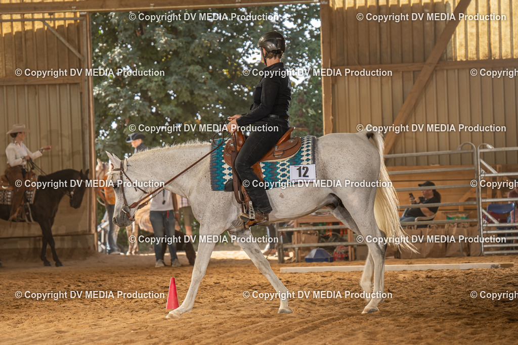 NID02936 | dv-media-shop - Realisiert mit Pictrs.com