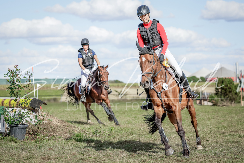 20250906-_3LI7227 | Tierfotografie Pferde, Hunde, Katzen, Haustiere.
Turnierfotografie Reitturniere, Reiten, Springreiten, Dressur in Hanau, dem Main-Kinzig-Kreis und dem Rhein-Main- Gebiet um Frankfurt
