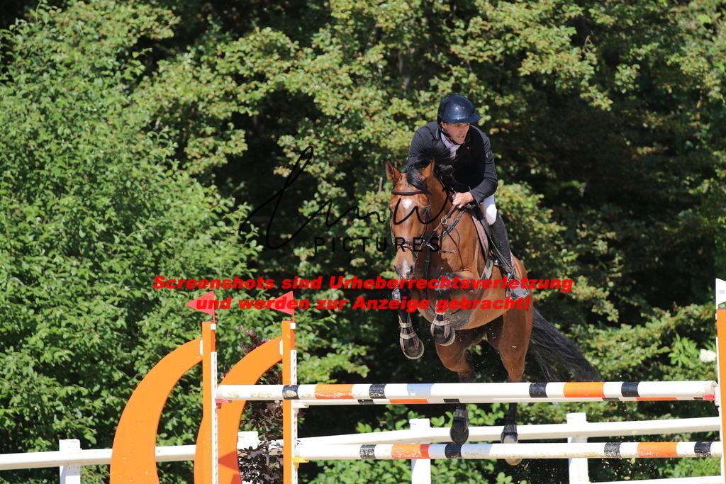 IMG_3068 | lmwpictures - Realisiert mit Pictrs.com