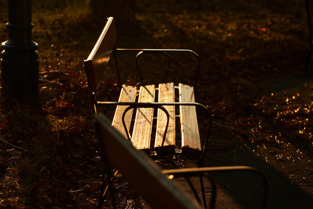 Holzbank im Abendlicht | Wien, Austria - December 10, 2019: Holzbank im Abendlicht; im Wasserpark Floridsdorf. - Realisiert mit Pictrs.com