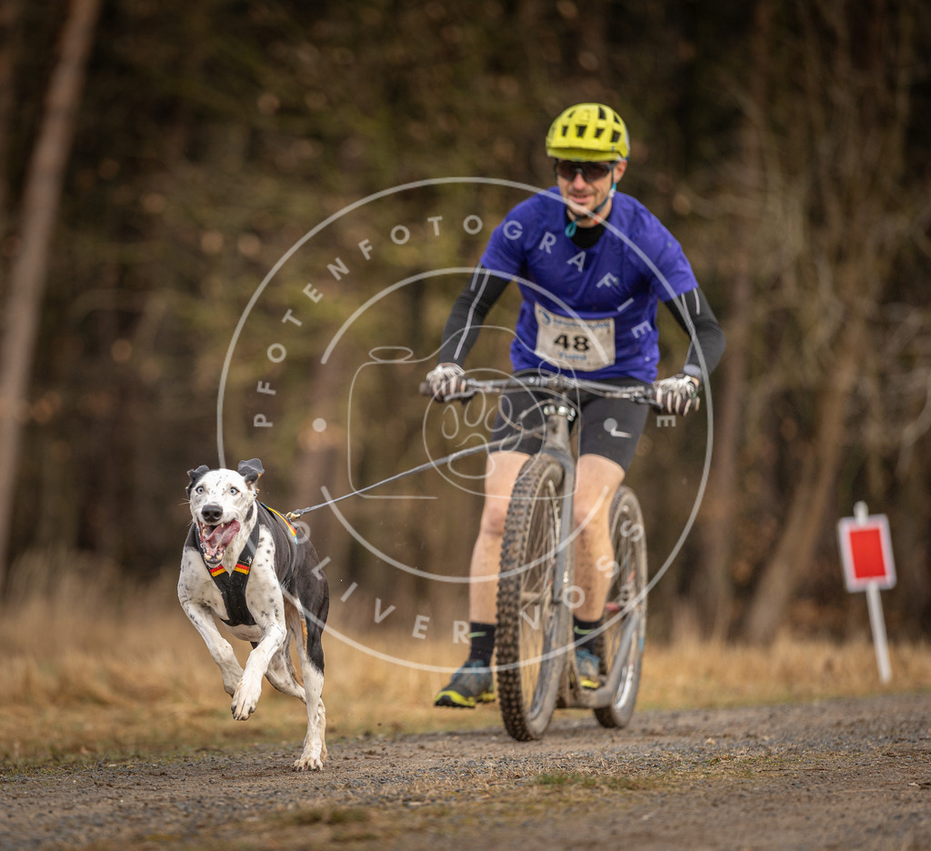 DV3A3415 | Hundefotografie, Tierfotograf, Pfotenfotografie, Fotoshooting Hund, Hunde Portrait, Hundesport, Hundeportraits, Heideshooting, Hunde, Sportfotograf, Hundefotograf, Turnierhundsport, THS,  - Realisiert mit Pictrs.com