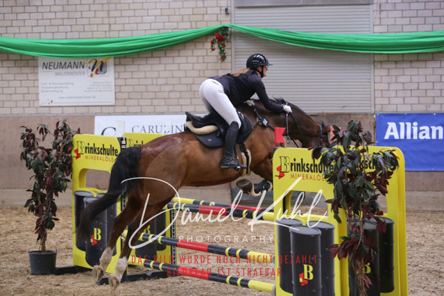 IMG_0572 | Turnierfotos kaufen im Webshop von Daniel Kuhl Photography – entdecke professionelle Reitsportfotos aus Turnieren & Events. Hochwertige Turnierbilder online bestellen & sichern. Jetzt Fotos von Reitsportturnieren kaufen!