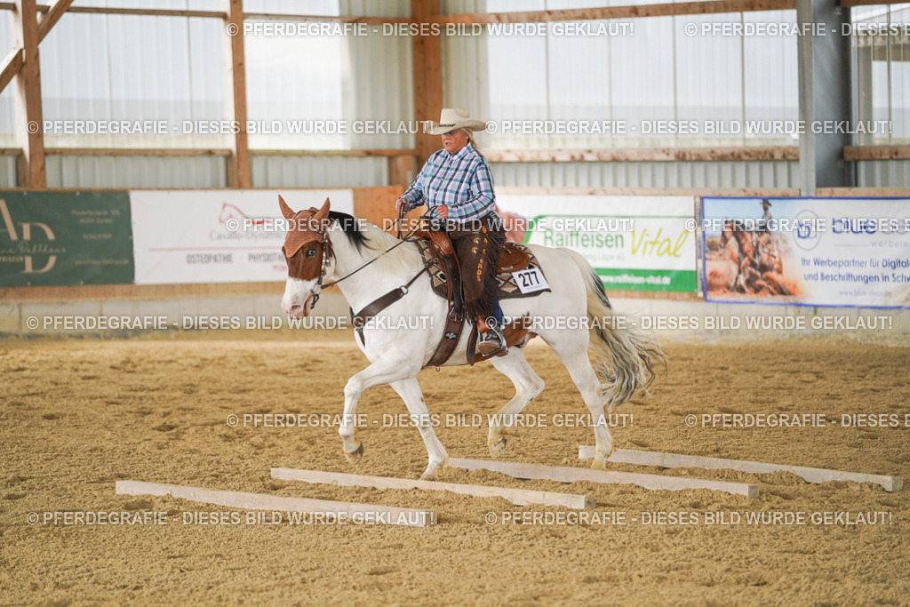 DSC03630 | Pferdegrafie