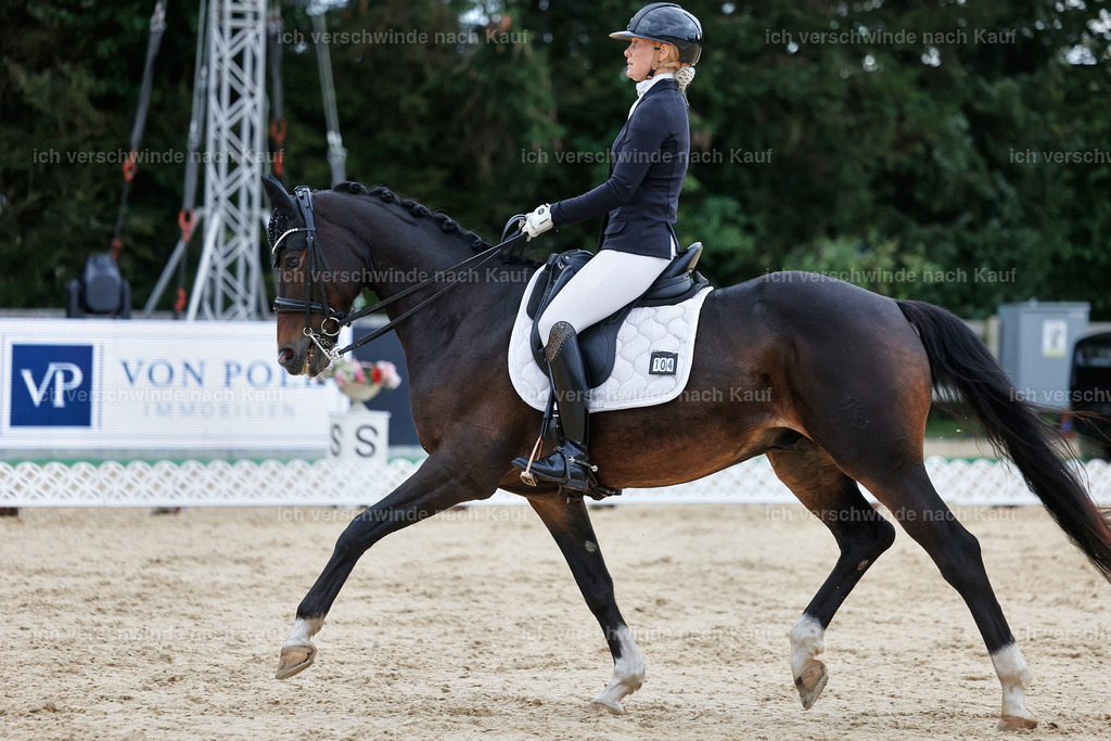 04_1-104-Dressur M__ -StoibPH-StoibPH-2662 | working equitationturnier fotograf videograf stoibphotography marixx film working equitation deutschland reitsport turnierfotografie eventfotografie equestrian events