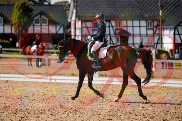 2026_10_03_Siefer-Hof_133639_Z63_97243933 | Professionelle Reitsport-, Turnier- und Eventfotografie von Robert Broda. Galerien mit ausgewählten und bearbeiteten Bildern direkt online ansehen und bestellen.