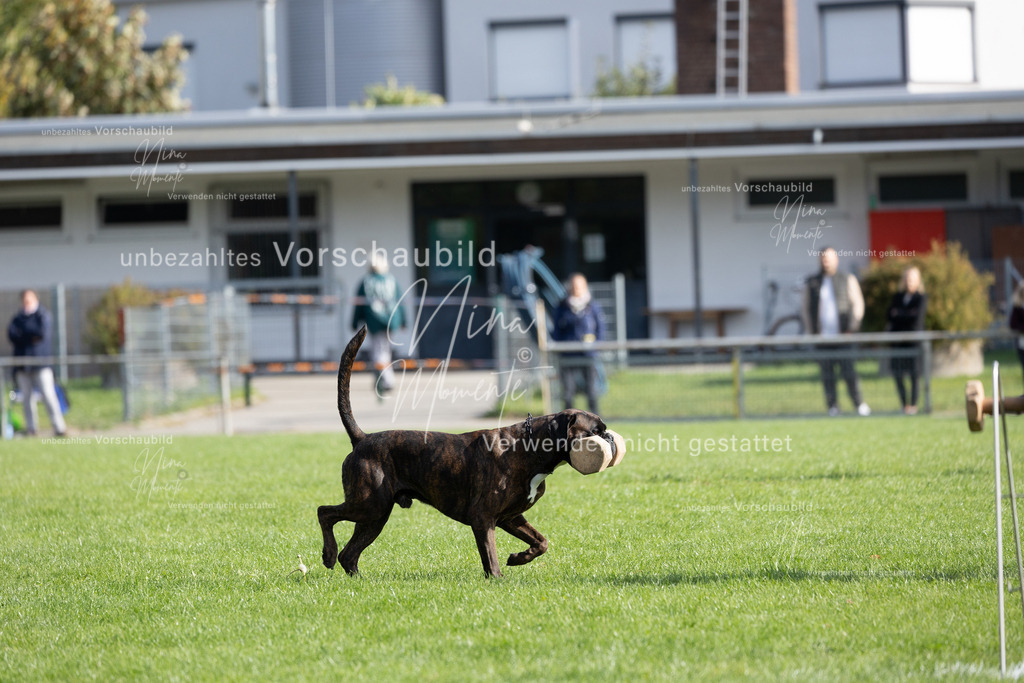 _16A6820 | Einzigartige Fotos von Hunden & Menschen –Actionfotos, Portraits, Vereinsaufnahmen & Paarshootings – authentisch, lebendig & mit Herz.