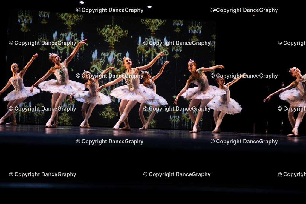 GPHY5883 | DanceGraphy - Realisiert mit Pictrs.com