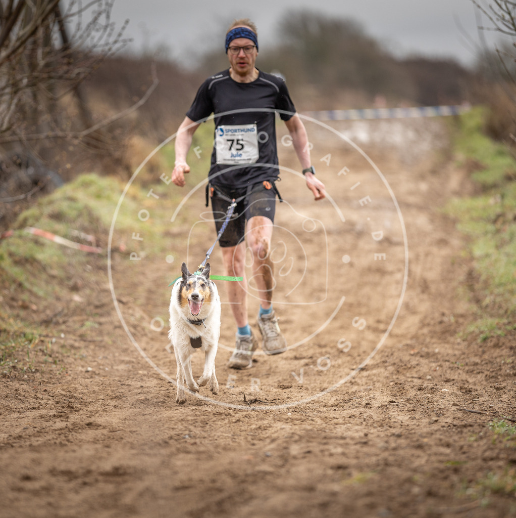 DV3A9742 | Hundefotografie, Tierfotograf, Pfotenfotografie, Fotoshooting Hund, Hunde Portrait, Hundesport, Hundeportraits, Heideshooting, Hunde, Sportfotograf, Hundefotograf, Turnierhundsport, THS,  - Realisiert mit Pictrs.com