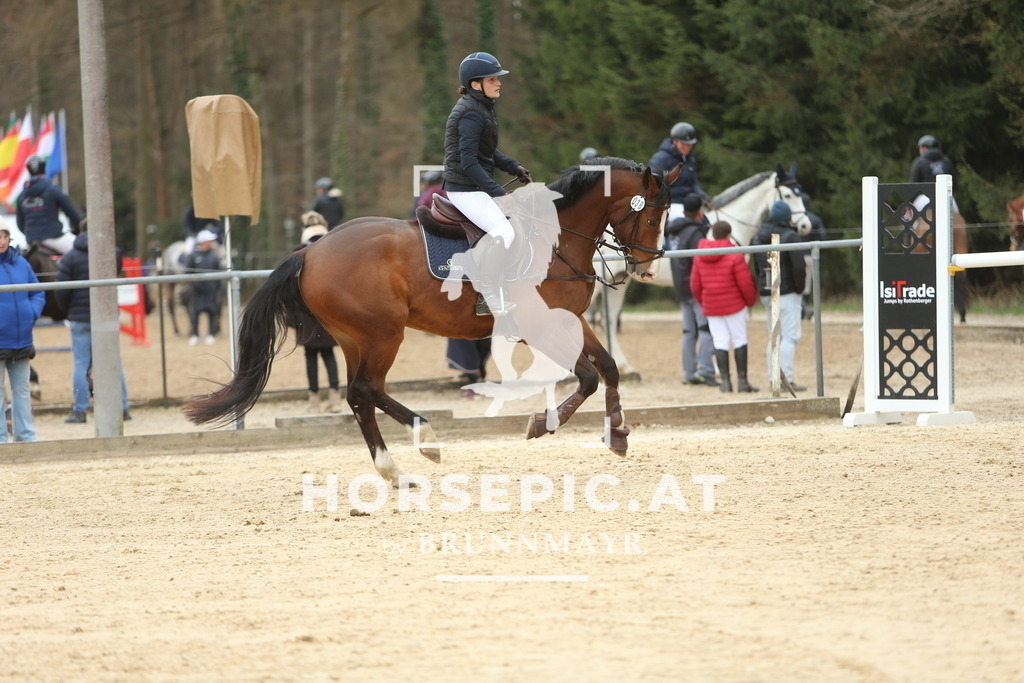 DL2Q6092 | Willkommen bei Brunnmayr - Design & Fotografie – Ihrem Spezialisten für Reitturniere und Pferdeveranstaltungen in Oberösterreich, Salzburg und Bayern! Seit über 17 Jahren sind wir leidenschaftlich dabei.
