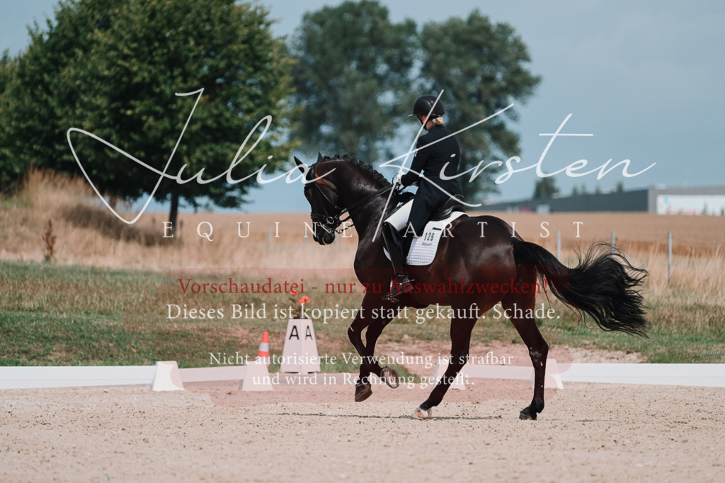 DSC_4340 | Pferde- und Turnierfotografie in Westsachsen. Pferdeportraits, Auftragszeichnungen und intuitive Kunst.