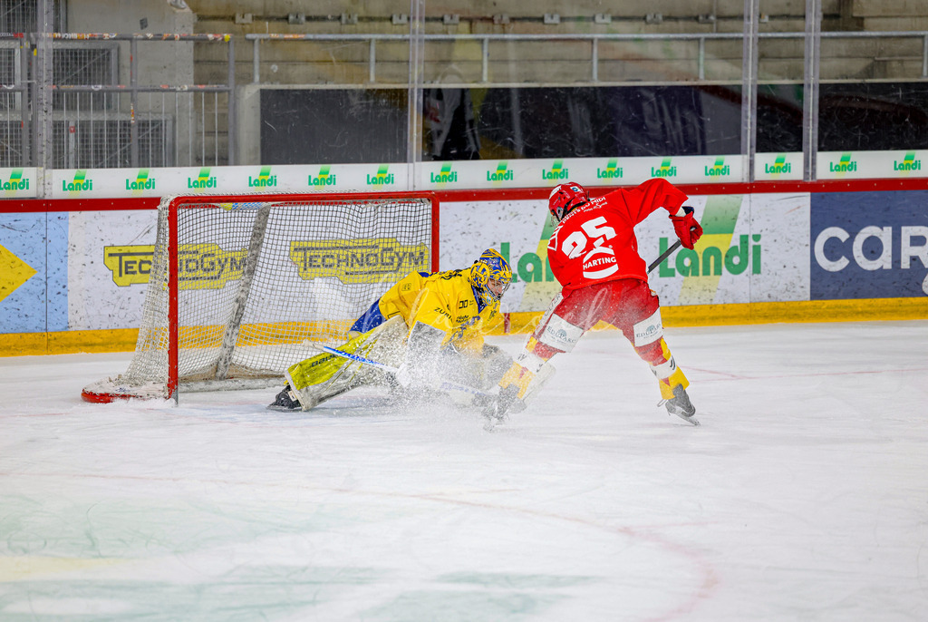 EHCB vs HCD-1502 | Sportbilder, Sportfotograf, Hochzeits- und Eventfotografin, Flugshows, Portraits und Tiershooting, Aviation, Downhill, Nationalleague, Swissleague, International