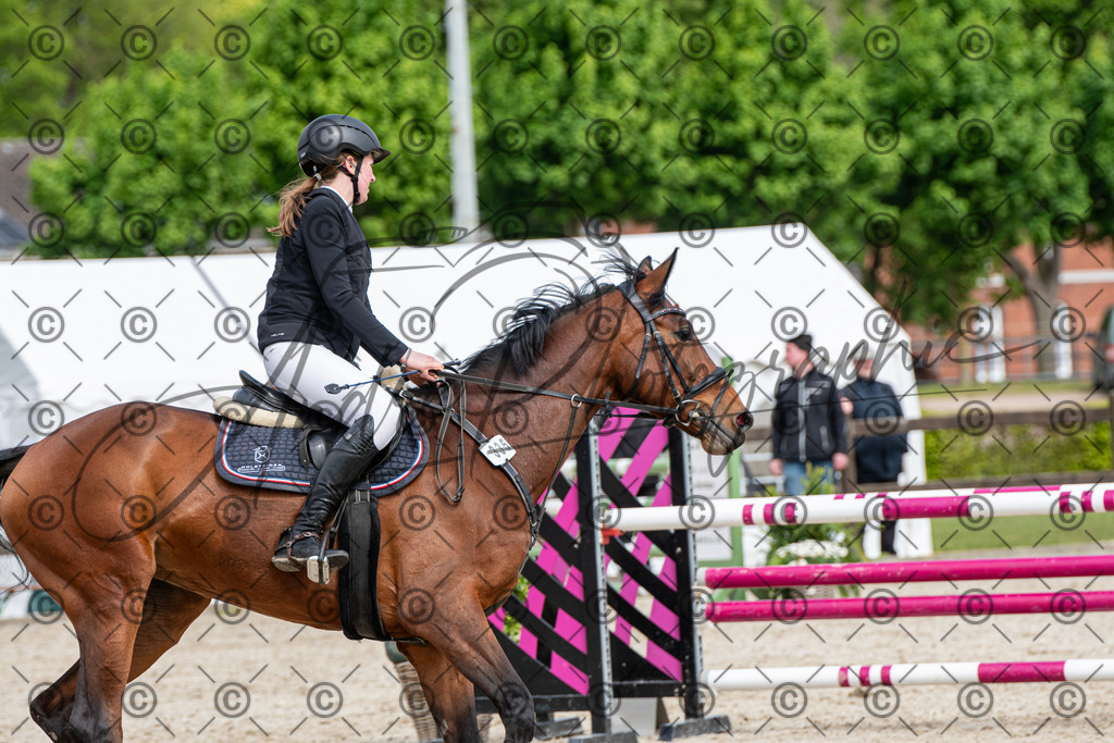 KPT_8890 | andre_photographic