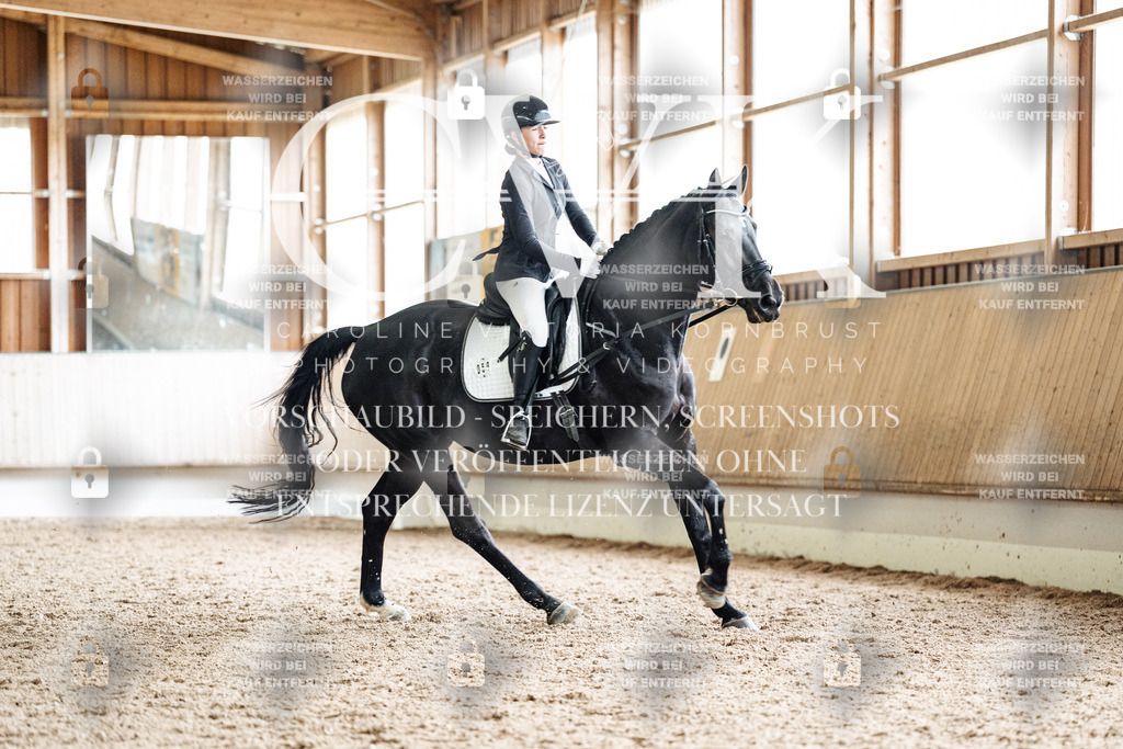 CK901074 | Turnierfotografie Pferdefotografie Trier Rheinland-Pfalz Pferdesport Reitsport Tierfotografie Sportfotografie Pferdevideo Pferdevideografie Equestrianvideography equestrianphotography  - Realisiert mit Pictrs.com