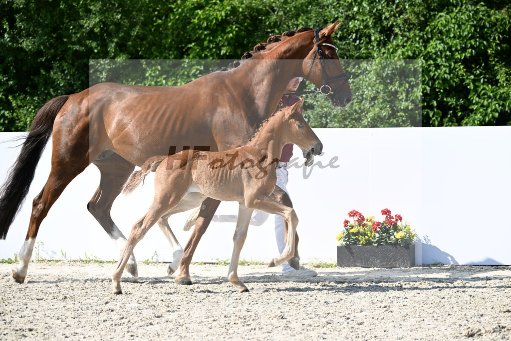 De Dembele x Benicio_SF_Schaff_13251888 | hf-fotografie - Realizzato con Pictrs.com