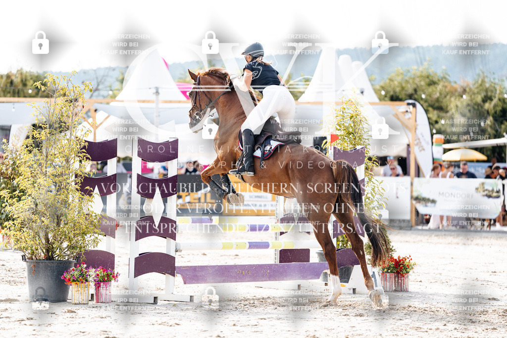CK905908 | Turnierfotografie Pferdefotografie Trier Rheinland-Pfalz Pferdesport Reitsport Tierfotografie Sportfotografie Pferdevideo Pferdevideografie Equestrianvideography equestrianphotography  - Realisiert mit Pictrs.com