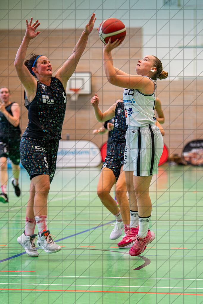 @Martin König_20240901__DSC7534 | bullenfotos|de - Realisiert mit Pictrs.com