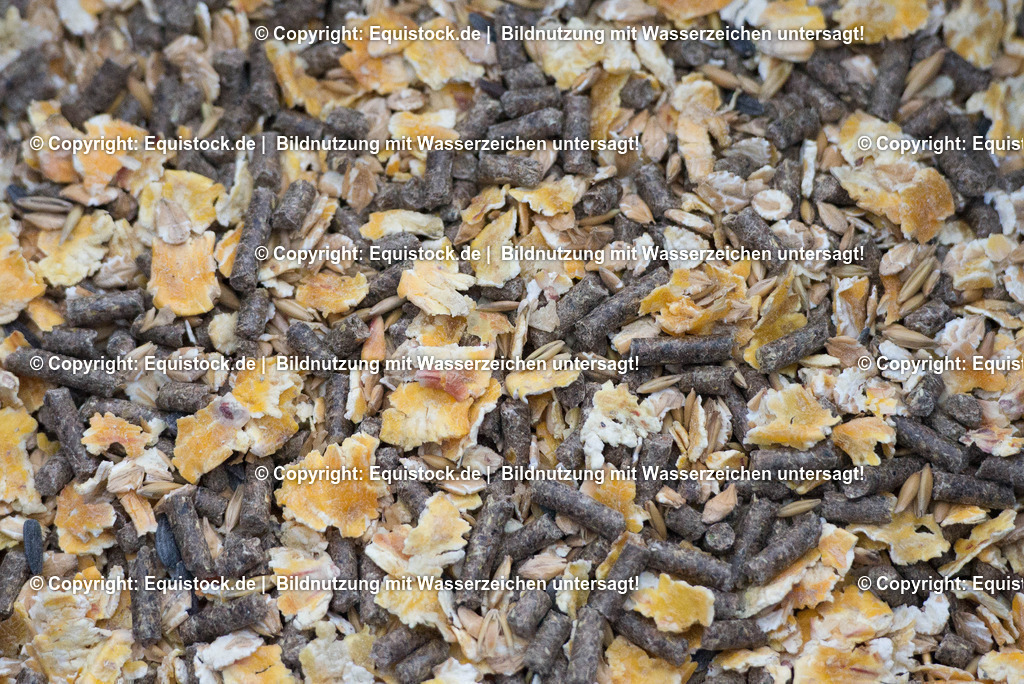 20170118_M__sli_0001 | Foto: Thomas Hartig