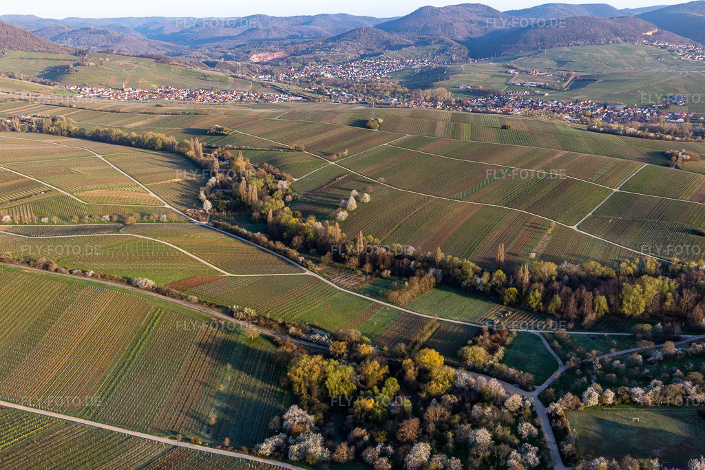 Luftbild: Ranschbachtal in Ranschbach im Bundesland Rheinland-Pfalz in Deutschland. Foto: IMG_126241.jpg vom 04.04.2021 durch Werner Riehm/FLY-FOTO.de