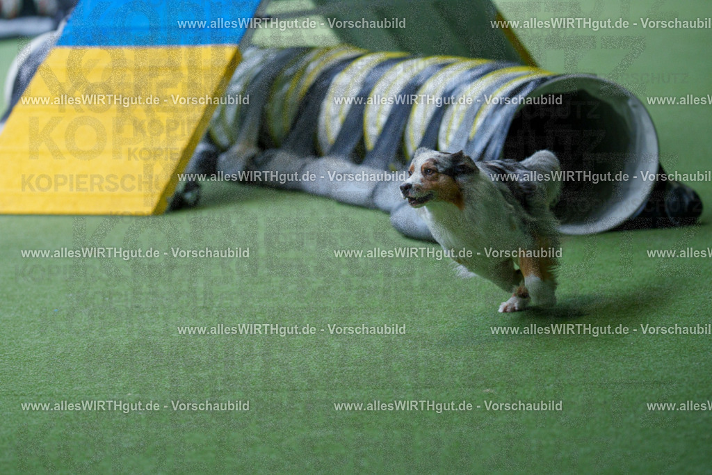 @allesWIRTHgut_Tierfotografie - www.allesWIRTHgut.de - 2604251211-7R501048 | Professionelle Tierfotografie in Mönchengladbach von Daniel Wirth (allesWIRTHgut). Liebevolle & natürliche Bilder von Hunden & Katzen für unvergessliche Erinnerungen.