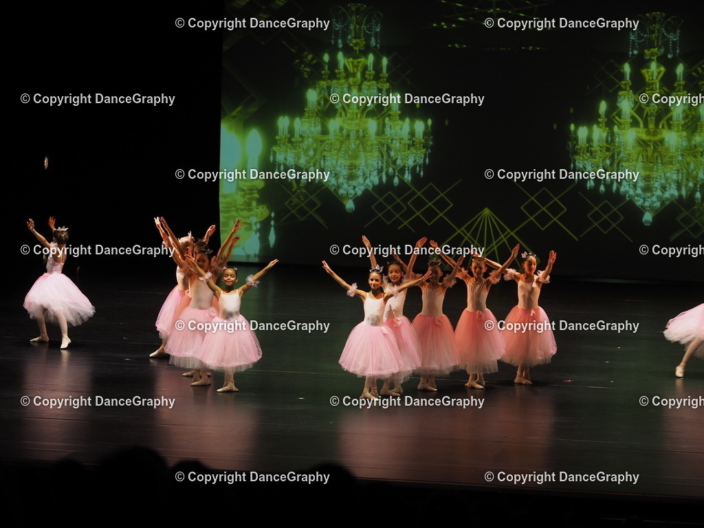 P7260417 | DanceGraphy - Realisiert mit Pictrs.com