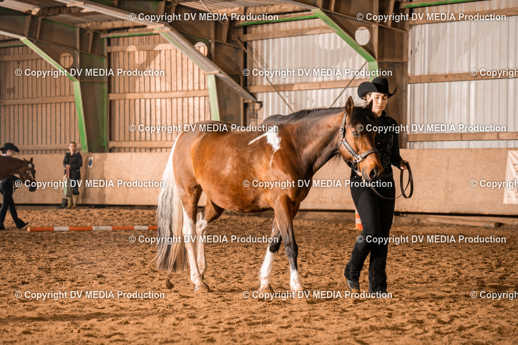 BAL01232 | dv-media-shop - Realisiert mit Pictrs.com