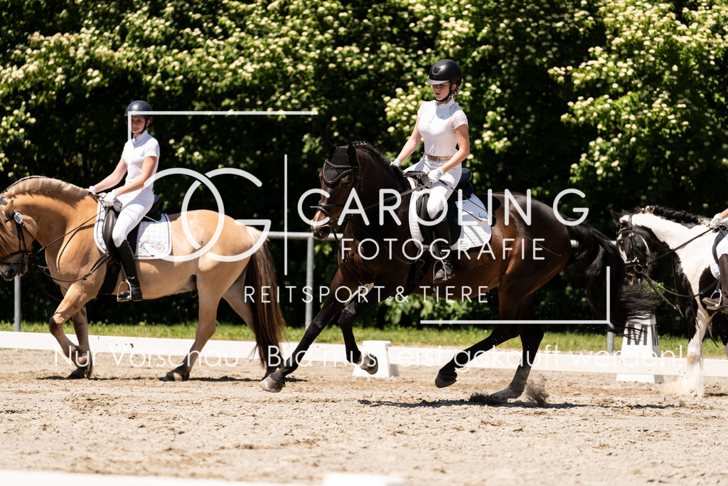 DSC00513 | Turnierfotografin Carolin Gieschke, Turnierfotografie Carolin G Fotografie, Turnierfotos Kirchheim/Teck, Esslingen, Stuttgart, Bodenseekreis