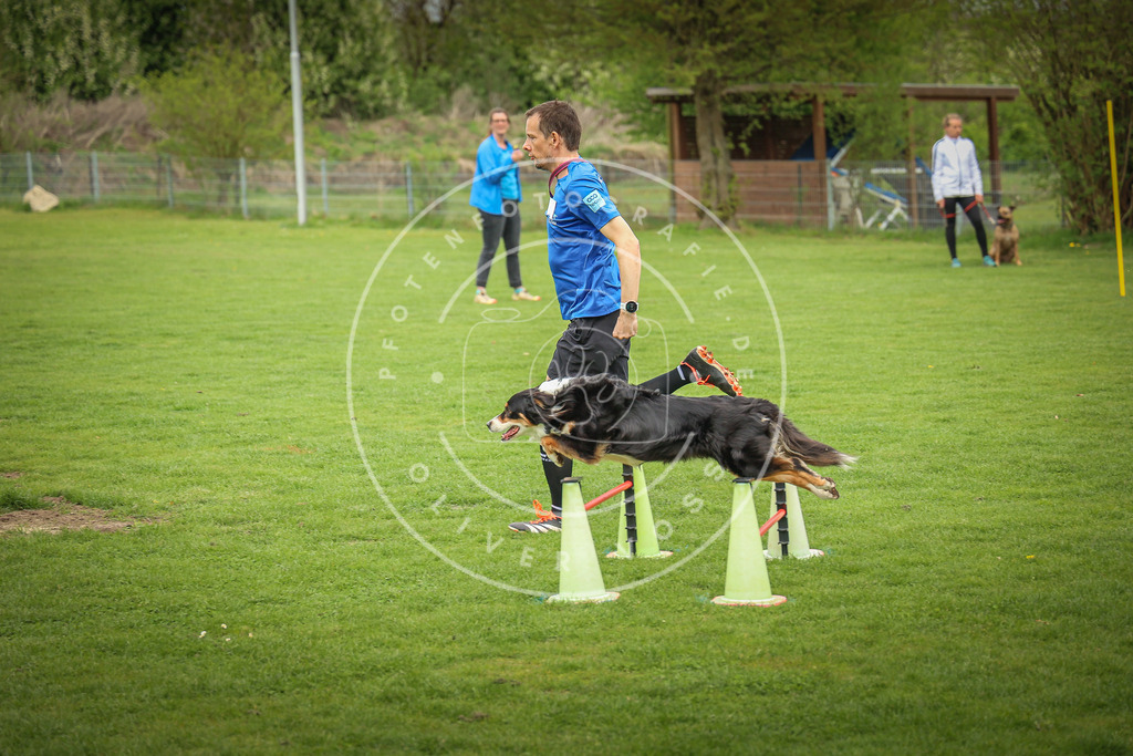 Pfotenfotografie_0L8A9375 | Hundefotografie, Tierfotograf, Pfotenfotografie, Fotoshooting Hund, Hunde Portrait, Hundesport, Hundeportraits, Heideshooting, Hunde, Sportfotograf, Hundefotograf, Turnierhundsport, THS,  - Realisiert mit Pictrs.com