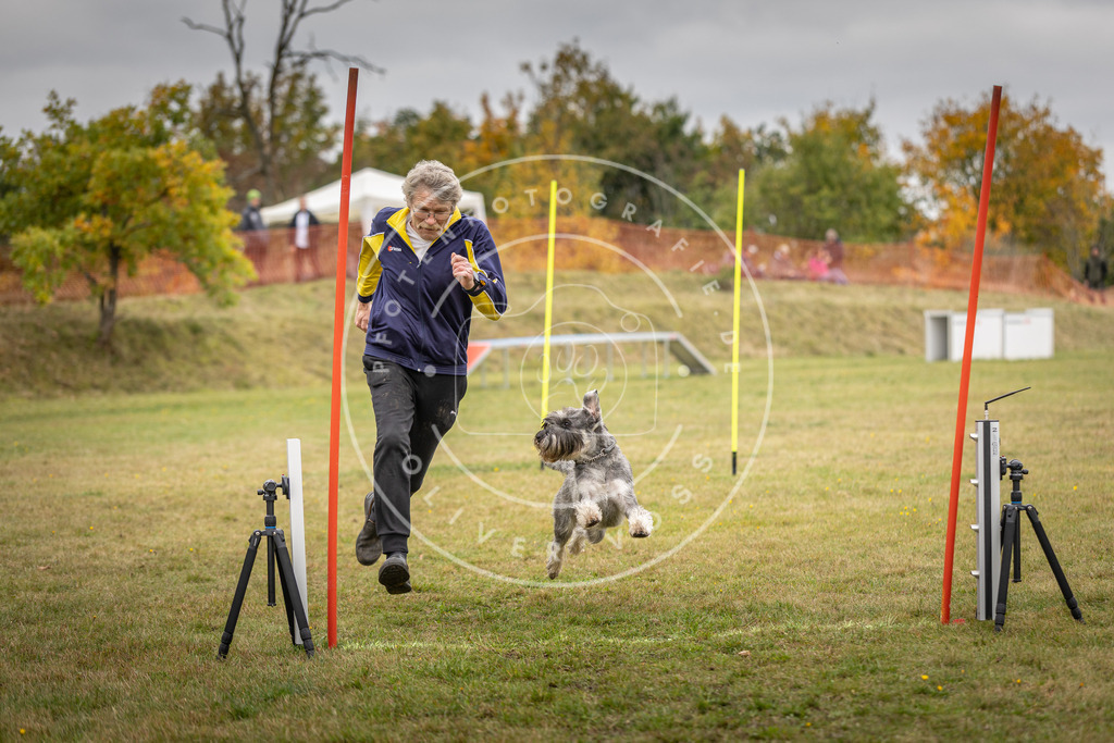 Pfotenfotografie_DV3A5326 | Hundefotografie, Tierfotograf, Pfotenfotografie, Fotoshooting Hund, Hunde Portrait, Hundesport, Hundeportraits, Heideshooting, Hunde, Sportfotograf, Hundefotograf, Turnierhundsport, THS,  - Realisiert mit Pictrs.com