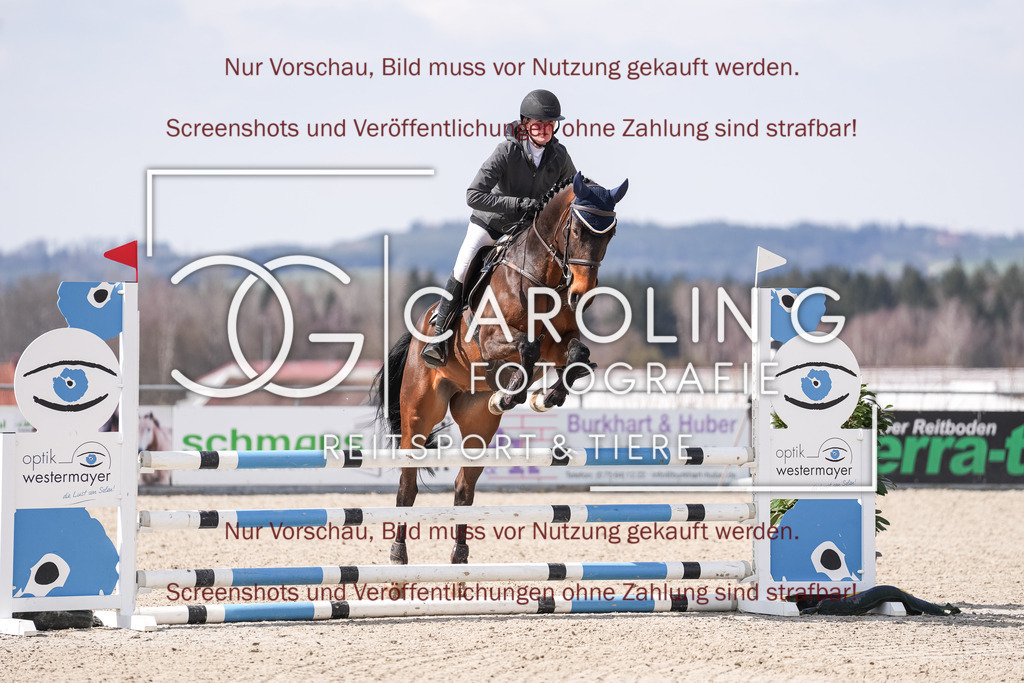 DSC05585 | Late_entry_Springturnier_Bad_Wurzach, Charming_50, Kathrine_Wingerter